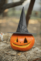 Bí đỏ, trang trí halloween, điêu khắc, kinh dị, lễ hội, pumpkin, halloween decoration, sculpture, horror, festival,  - Gunky