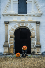 Lễ hội hóa trang, nhân vật , kinh dị, khuôn mặt bí đỏ, halloween, character, horror, pumpkin face - Juan Felipe Ramírez 14