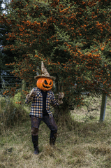 Halloween, hóa trang , kinh dị, hóa trang bí đỏ, bù nhìn, lễ hội hóa trang, costume, horror, pumpkin costume, scarecrow, carnival - Juan Felipe Ramírez 27