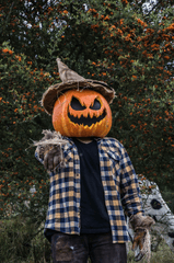 Halloween, hóa trang , kinh dị, hóa trang bí đỏ, bù nhìn, lễ hội hóa trang, costume, horror, pumpkin costume, scarecrow, carnival - Juan Felipe Ramírez 1