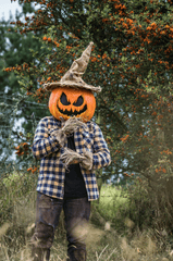 Halloween, hóa trang , kinh dị, hóa trang bí đỏ, bù nhìn, lễ hội hóa trang, costume, horror, pumpkin costume, scarecrow, carnival - Juan Felipe Ramírez 29