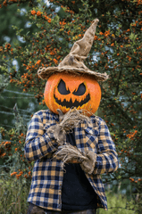 Halloween, hóa trang , kinh dị, hóa trang bí đỏ, bù nhìn, lễ hội hóa trang, costume, horror, pumpkin costume, scarecrow, carnival - Juan Felipe Ramírez 32