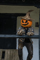 Halloween, hóa trang , kinh dị, hóa trang bí đỏ, bù nhìn, lễ hội hóa trang, costume, horror, pumpkin costume, scarecrow, carnival - Juan Felipe Ramírez 24
