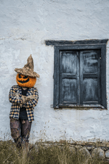 Halloween, hóa trang , kinh dị, hóa trang bí đỏ, bù nhìn, lễ hội hóa trang, costume, horror, pumpkin costume, scarecrow, carnival - Juan Felipe Ramírez 19