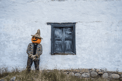 Halloween, hóa trang , kinh dị, hóa trang bí đỏ, bù nhìn, lễ hội hóa trang, costume, horror, pumpkin costume, scarecrow, carnival - Juan Felipe Ramírez 18
