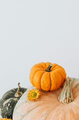 Bí đỏ, halloween, trang trí, không khí halloween, mùa thu, pumpkin, halloween, decoration, halloween atmosphere, autumn - Karola G 1