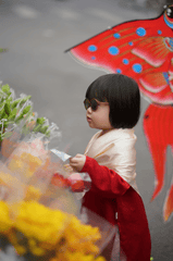 Cô gái, thiếu nữ, Việt Nam, trang phục truyền thống, girl, young woman, Vietnam, traditional costume - Đan Thy Nguyễn Mai 90