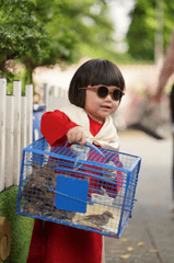 Trẻ em, kid, baby, Việt Nam, trang phục truyền thống, girl, Vietnam, traditional costume - Đan Thy Nguyễn Mai 2