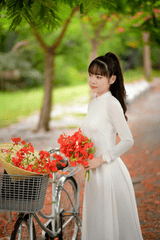 Thiếu nữ, cô gái, áo dài, truyền thống, hoa phượng, Thiếu nữ, cô gái, áo dài, truyền thống, hoa phượng - Phát trương 3