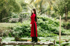 Cô gái, thiếu nữ, Việt Nam, trang phục truyền thống, girl, young woman, Vietnam, traditional costume - Đan Thy Nguyễn Mai 78