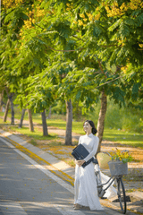 Thiếu nữ, cô gái, áo dài, truyền thống, xe đạp, young lady, girl, ao dai, tradition, bicycle - Phát trương 2