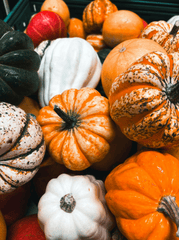 Bí đỏ, halloween, trang trí, không khí halloween, mùa thu, pumpkin, halloween, decoration, halloween atmosphere, autumn - Karola G 4