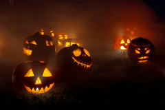 Bí đỏ, đèn bí đỏ, trang trí lễ hội halloween, ánh sáng, kinh dị, đêm tối, pumpkin lantern, halloween decoration, light, horror, dark night - Karola G 4