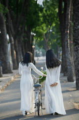 Thiếu nữ, cô gái, áo dài, truyền thống, xe đạp, young lady, girl, ao dai, tradition, bicycle - Phát trương 3