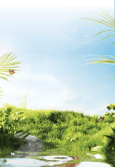 Thiên nhiên, natural, đồng cỏ, cánh đồng, cỏ, grass, sông, bầu trời, sky, hình nền, nền, background, green