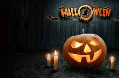 Halloween, bí đỏ, đèn bí đỏ, trang trí halloween, dễ thương, pumpkin, pumpkin lantern, halloween decoration, cute, - Avanto