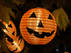 Halloween, bí đỏ, đèn bí đỏ, trang trí halloween, dễ thương, pumpkin, pumpkin lantern, halloween decoration, cute, - Avanto 3