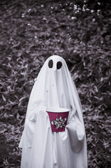 Halloween, hóa trang, con ma, dễ thương, hài hước, costume, ghost, cute, funny - Tiny 5