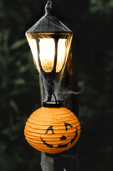 Halloween, bí đỏ, đèn bí đỏ, trang trí halloween, dễ thương, pumpkin, pumpkin lantern, halloween decoration, cute, - Avanto 6