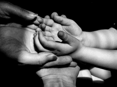 Bàn tay, tay, hand, trẻ em, em bé, baby, child- xuanduongvan87 1