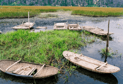 Thuyền, Sông, Cỏ, Boats, River, Grass- xuanduongvan87