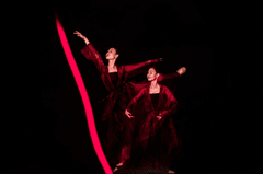Múa, múa ba lê, dance, ballet- PHAMgraphy 1