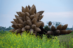 Đan rổ, Thủ công mỹ nghệ, Basket weaving, Handicraft, Handiwork- xuanduongvan87Đan rổ, Thủ công mỹ nghệ, Basket weaving, Handicraft, Handiwork- xuanduongvan87