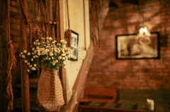 Giỏ hoa, hoa, flower, flower basket- xuanduongvan87