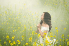 Cô gái, hoa cải, sương mù, đồng cỏ,Girl, rape flower, fog, meadow- ThuyHaBich 1