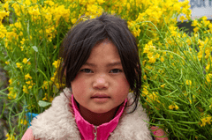 Trẻ em, bé gái, girl, em bé, vùng cao, miền núi, dân tộc, children, babies, highlands, mountainous areas, ethnic groups - xuanduongvan87 5