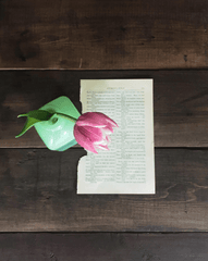 Tulip, sách, book, nhật kí, notebook, hoa, flower- hudsoncrafted 7