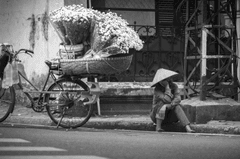 Xe đạp hoa, đường, flower bicycle, Road- Quangbaophoto