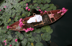 Cô gái, nữ, girl, women, áo dài, hoa súng, hoa, water lily, flower- xuanduongvan87