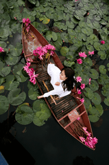 Cô gái, nữ, girl, women, áo dài, hoa súng, hoa, water lily, flower- xuanduongvan87 1