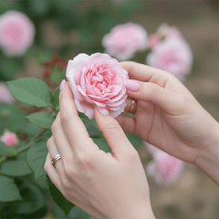 Ảnh chụp cận cảnh đôi bàn tay của một người phụ nữ có làn...