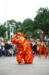 Lân, múa lân,  lion dance, tết, xuân, spring- Andy Lee 1