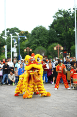 Lân, múa lân,  lion dance, tết, xuân, spring- Andy Lee 3