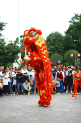 Lân, múa lân,  lion dance, tết, xuân, spring- Andy Lee