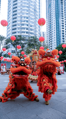 Lân, múa lân,  lion dance, tết, xuân, spring- Cyrille Cura