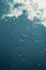 Mưa, hạt mưa, giọt nước, rain, raindrops, water drops - Elijah O'Donnell