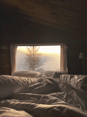Cửa sổ, phòng ngủ, ánh nắng, tối, window, bedroom, sunlight, dark- juliber Tran