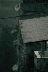 , mưa, hạt mưa, giọt nước, rain, raindrops, water drops - 4