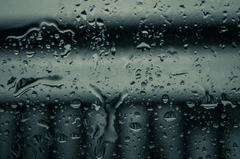 Mưa, hạt mưa, giọt nước, rain, raindrops, water drops - Kalpesh Patel