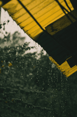 Máy nhà, mưa, hạt mưa, giọt nước, rain, raindrops, water drops - malkocoglu.raw .
