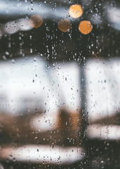 Mưa, hạt mưa, giọt nước, rain, raindrops, water drops - Mert Sayılgan