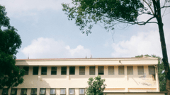 Trường học, school,  trường cấp 3, giáo dục, education, thanh xuân, tuổi trẻ, Việt Nam - chuotanhls 5
