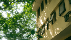 Trường học, school,  trường cấp 3, giáo dục, education, thanh xuân, tuổi trẻ, Việt Nam - chuotanhls 4