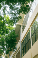 Trường học, school,  trường cấp 3, giáo dục, education, thanh xuân, tuổi trẻ, Việt Nam - chuotanhls 3