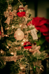 Trang trí, cây thông, giáng sinh, pine, decor, christmas, merry christmas, xmas - BARIŞ KARANLIK