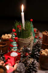 Giáng sinh, nến, trái thông, trái châu, trang trí, ấm áp, không khí giáng sinh, christmas, candles, pine cones, warm, christmas atmosphere - Djurdjina ph.djiz